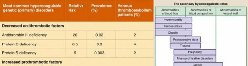 Illustration 3 for Perioperative & Orthopaedic Medicine: Preventing Dangerous Blood Clots