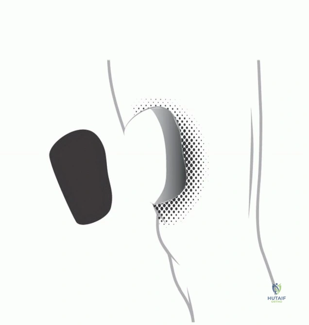 صورة توضيحية لهيكل عظمي يوضح الجهاز العضلي الهيكلي