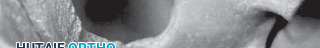 توثيق 21