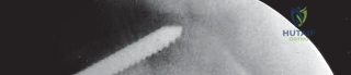 توثيق 22