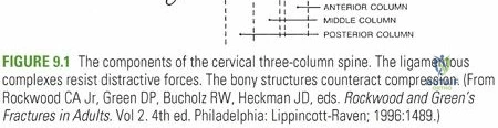 Clinical Image
