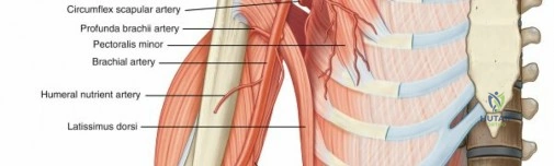 Clinical Image