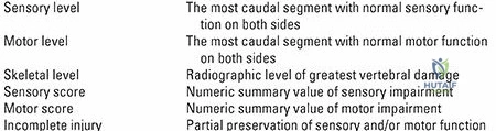 Clinical Image