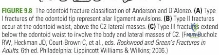 Clinical Image