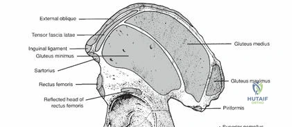 Clinical Image
