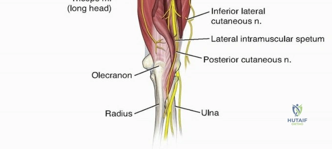 Clinical Image