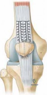 Clinical Image