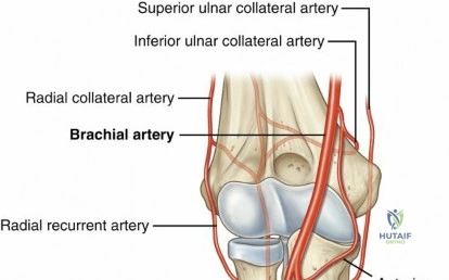 Clinical Image