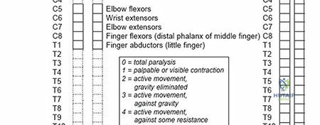 Clinical Image
