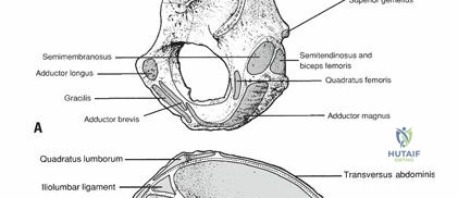 Clinical Image