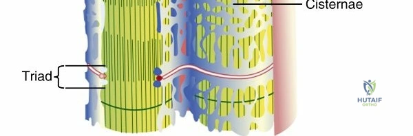 Clinical Image