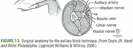 Clinical Image