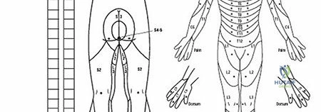 Clinical Image