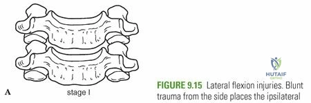 Clinical Image