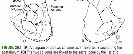 Clinical Image