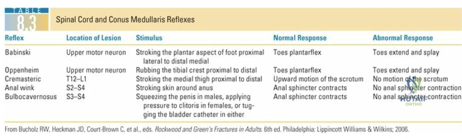 Clinical Image