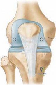 Clinical Image