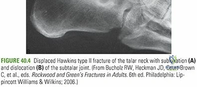 Clinical Image