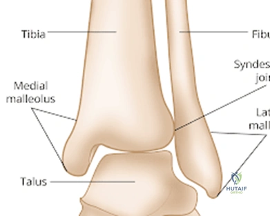 Clinical Image