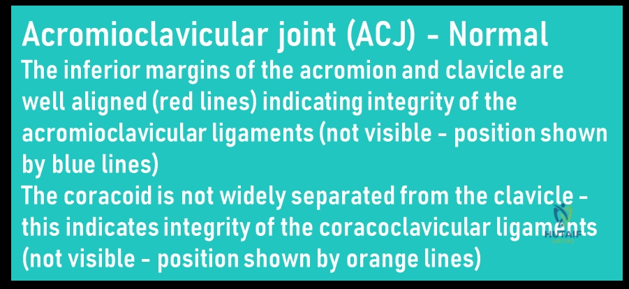 Clinical Image