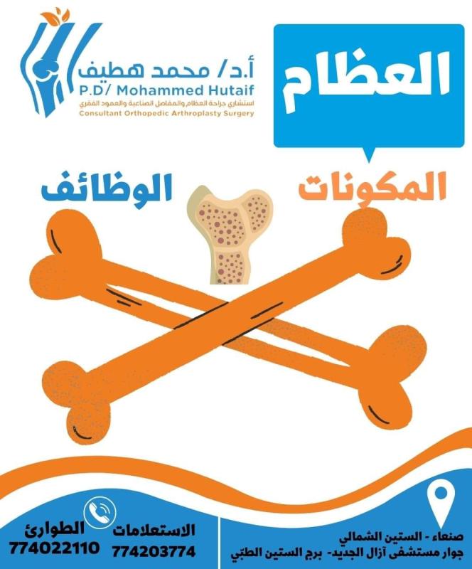 دليلك الشامل للعظام: وظائفها، مكوناتها، وكيف تحافظ عليها