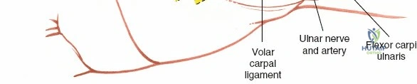 Clinical Image
